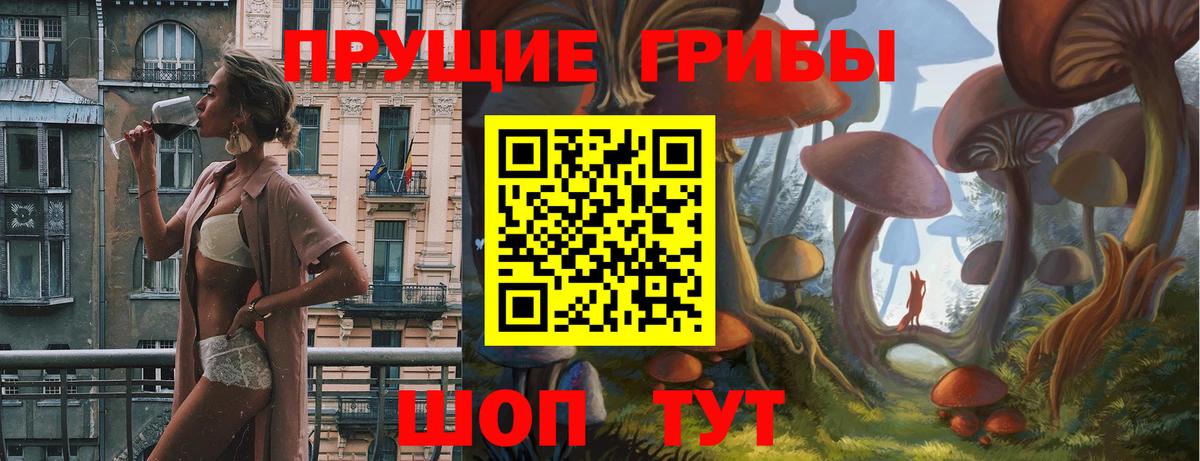 купить наркотики цена  Вход с VPN  Когалым  Псилоцибиновые грибы GOLDEN TEACHER 